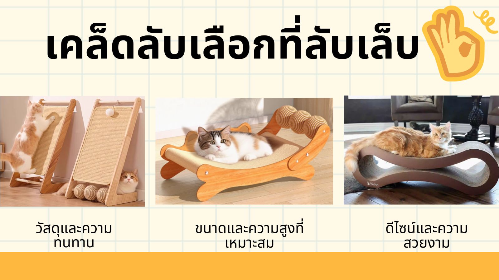 tips เคล็ดลับ