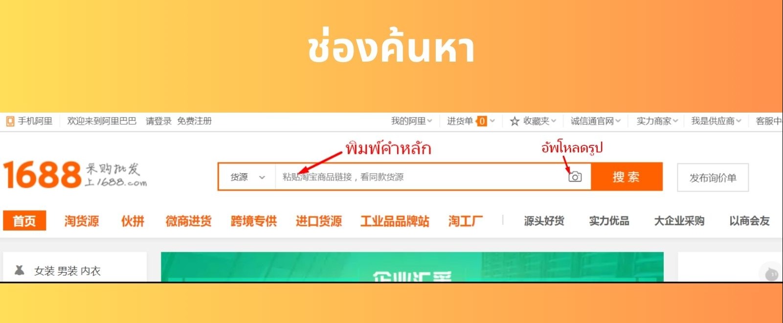 ช่องค้นหา